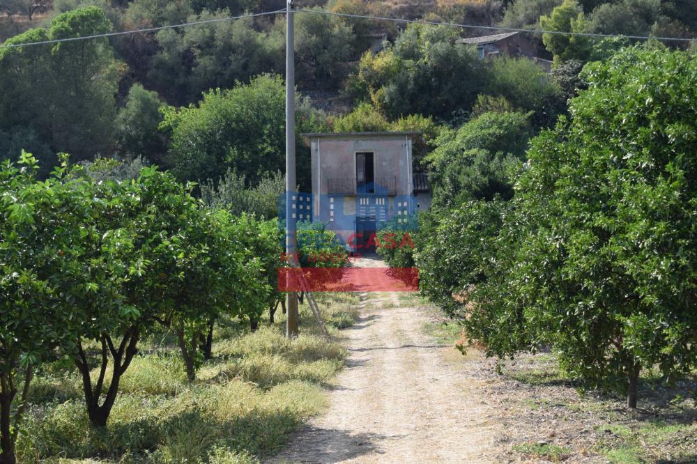 terreno agricolo in vendita a Trappitello