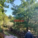 Terreno agricolo in vendita a Linguaglossa