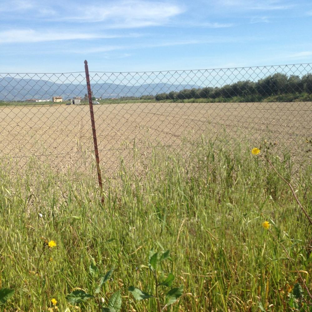 terreno agricolo in vendita a Cassano all'Ionio