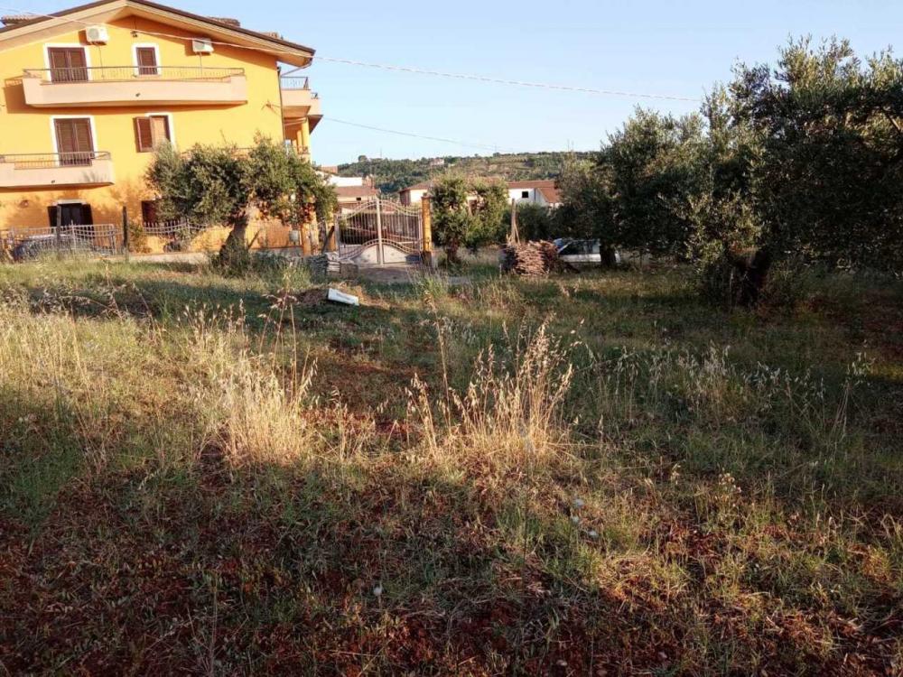 immagine annuncio 1 di 2