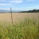 Terreno agricolo monolocale in vendita a cassano-all-ionio