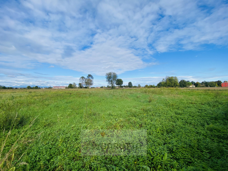 Terreno residenziale in vendita a borgoricco - Terreno residenziale in vendita a borgoricco