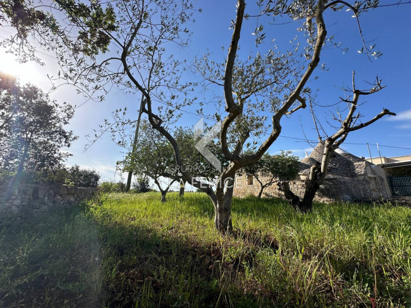 Rustico / casale in vendita a martina-franca - Rustico / casale in vendita a martina-franca