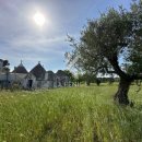 Rustico / casale bilocale in vendita a martina-franca