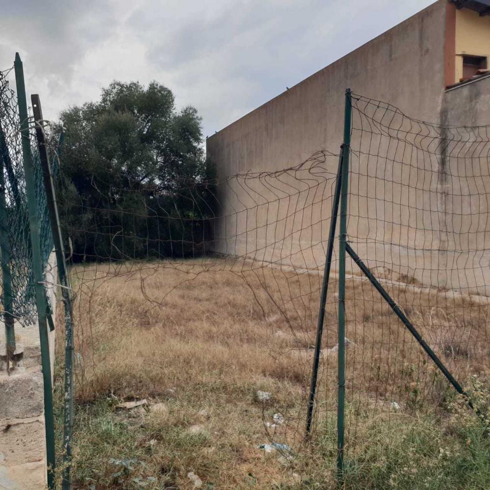 immagine annuncio 3 di 4