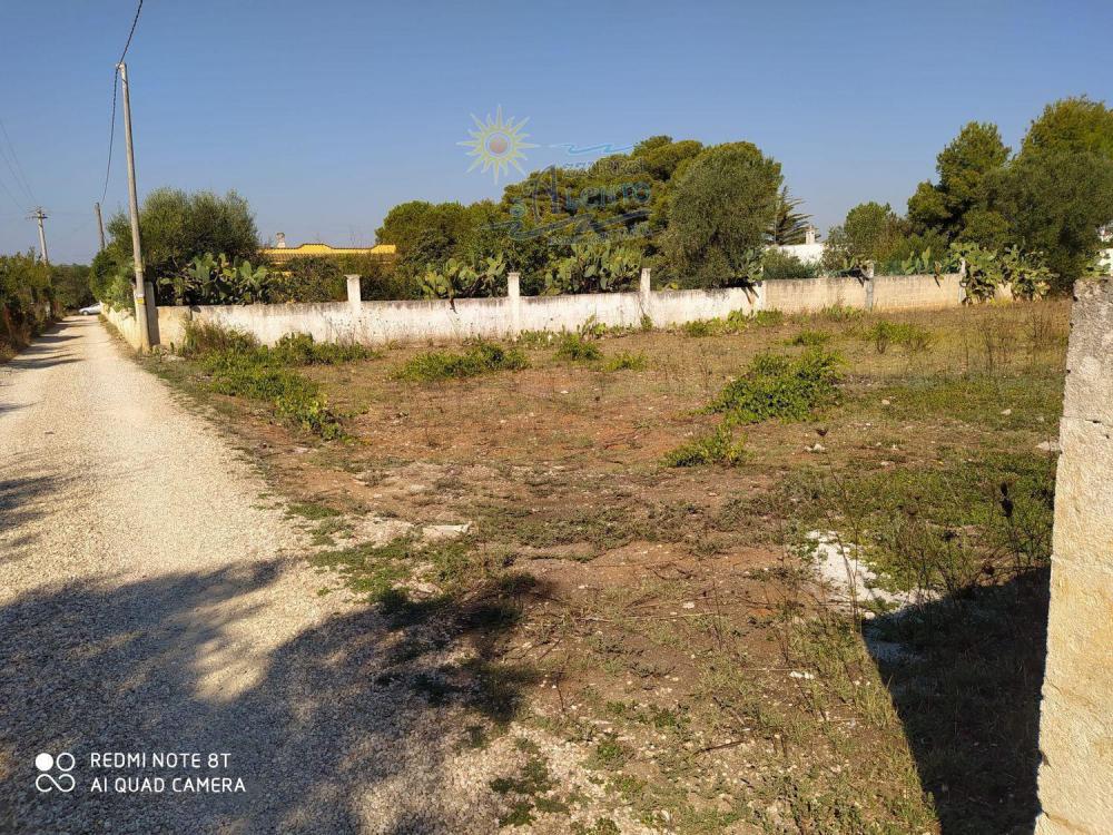 Terreno agricolo in vendita a maruggio - Terreno agricolo in vendita a maruggio