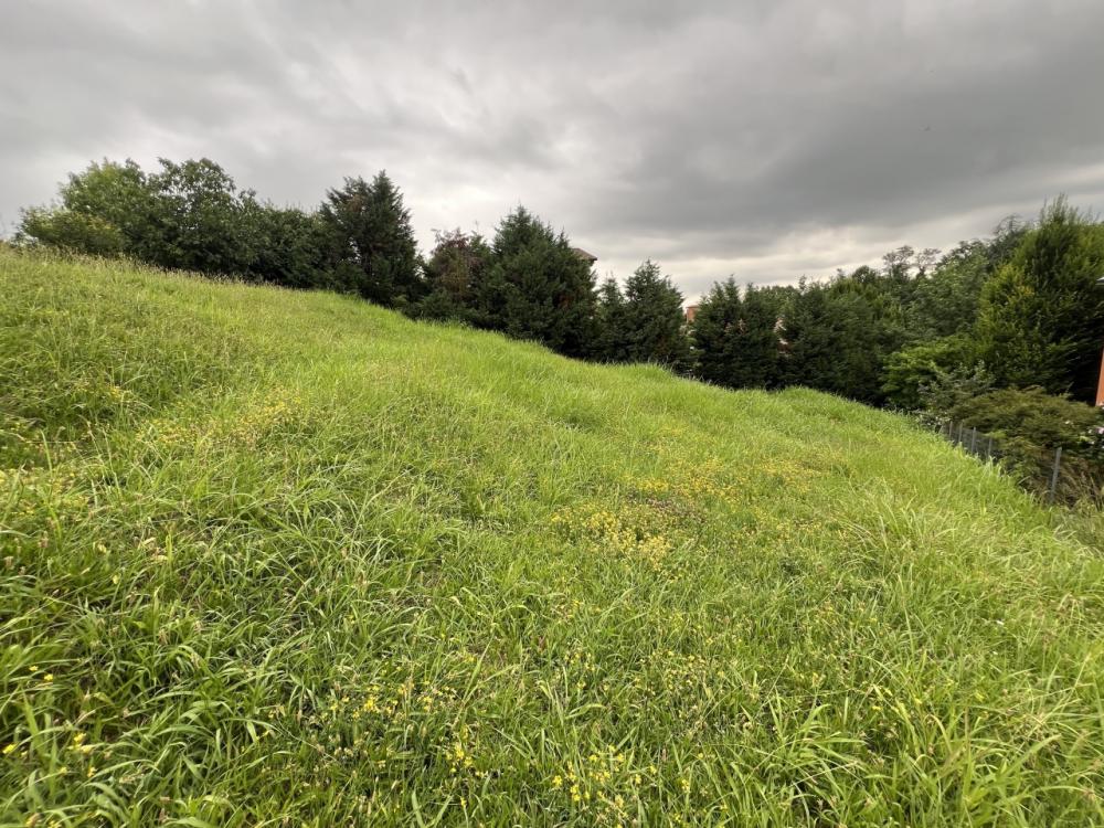 Terreno agricolo plurilocale in vendita a Bazzano - Terreno agricolo plurilocale in vendita a Bazzano