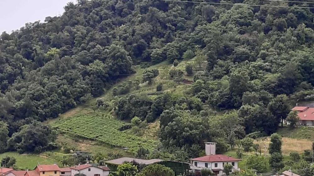 immagine annuncio 1 di 2