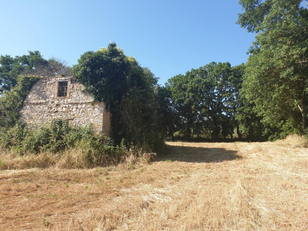 Rustico / casale plurilocale in vendita a lugnano-in-teverina - Rustico / casale plurilocale in vendita a lugnano-in-teverina