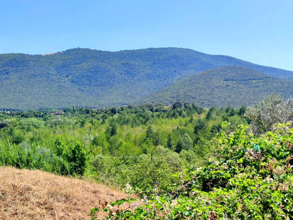 terreno residenziale in vendita a Montecchio