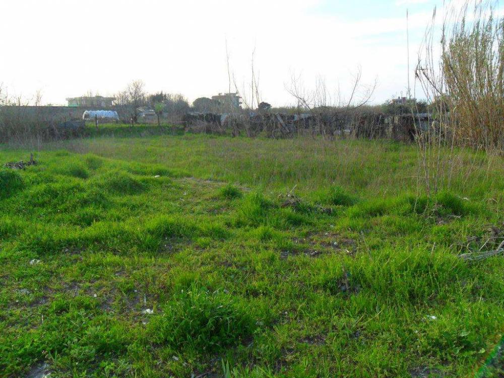 terreno agricolo in vendita a Mondragone