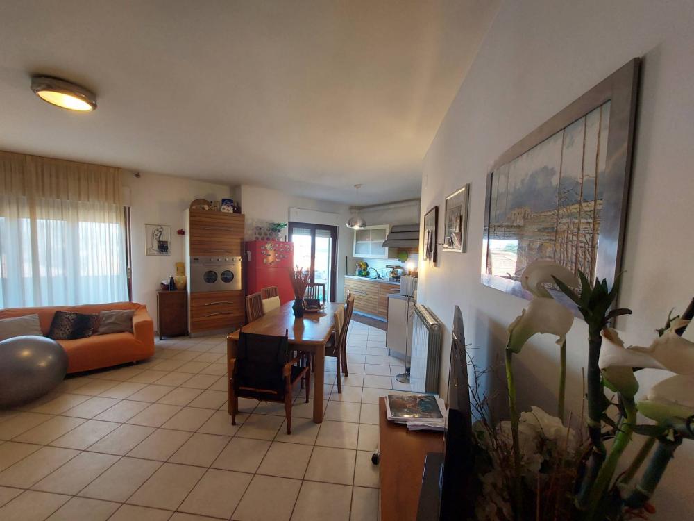 Appartamento quadrilocale in vendita a Sant'Omero - Appartamento quadrilocale in vendita a Sant'Omero