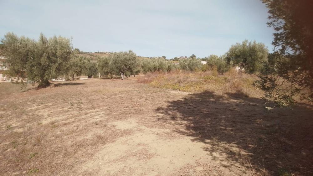 Terreno agricolo in vendita a Giulianova - Terreno agricolo in vendita a Giulianova