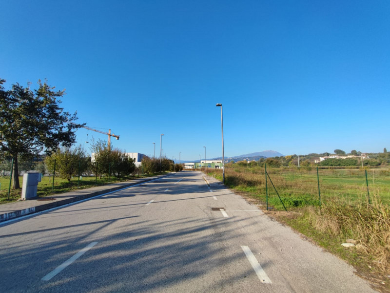immagine annuncio 2 di 4