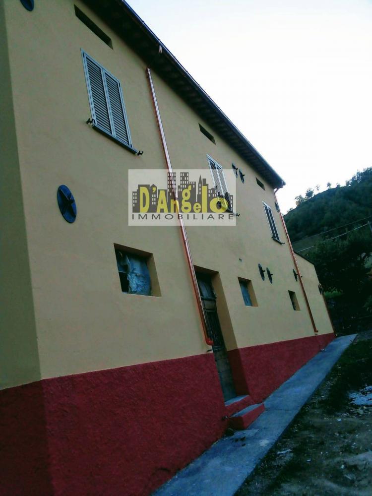 immagine annuncio 2 di 4