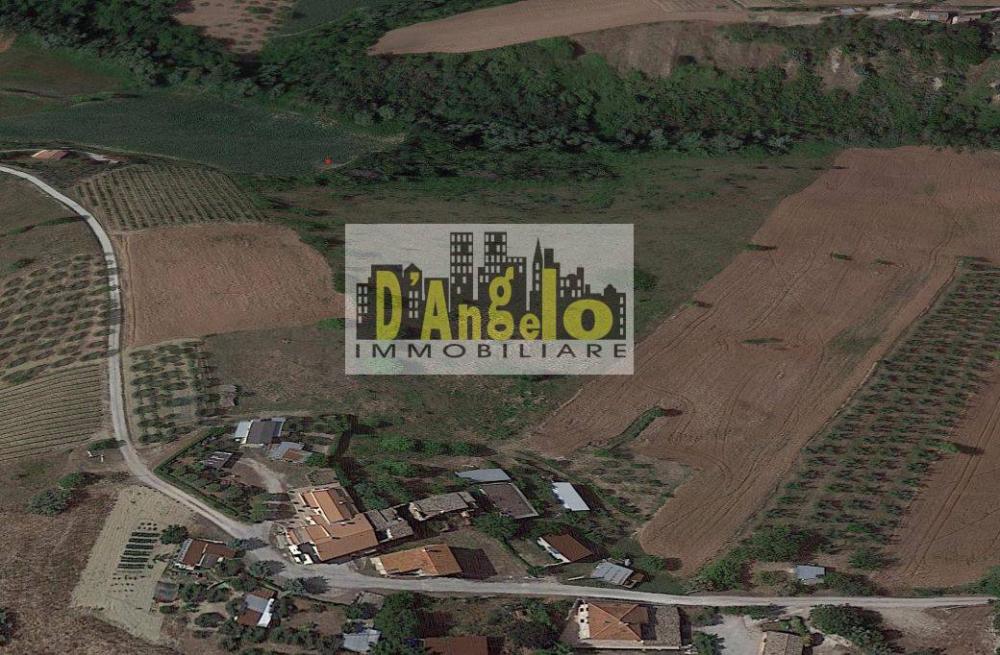 immagine annuncio 1 di 2