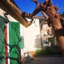 Casa quadrilocale in vendita a Rosignano Marittimo
