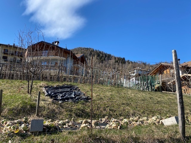 terreno agricolo in vendita ad Altopiano della Vigolana in zona Martinelli