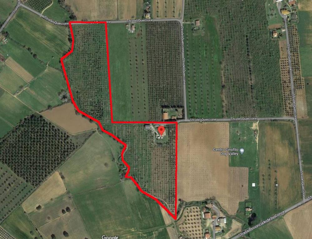 Azienda agricola in vendita a Grosseto - Azienda agricola in vendita a Grosseto