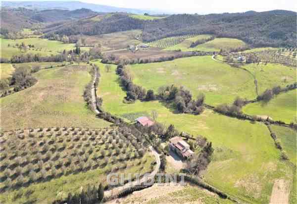 Terreno agricolo monolocale in vendita a cinigiano - Terreno agricolo monolocale in vendita a cinigiano