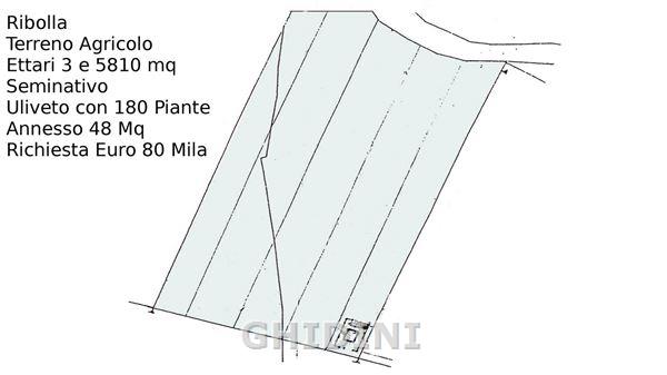 Terreno agricolo monolocale in vendita a Ribolla - Terreno agricolo monolocale in vendita a Ribolla