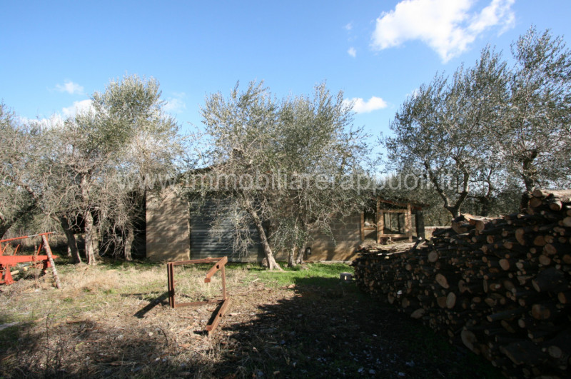 Rustico / casale in vendita a sinalunga - Rustico / casale in vendita a sinalunga