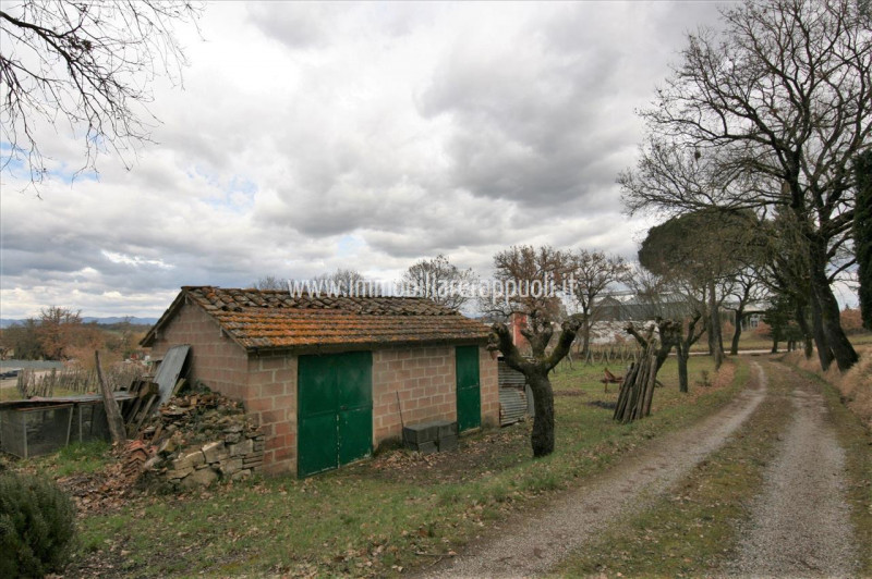 Rustico / casale in vendita a sinalunga - Rustico / casale in vendita a sinalunga