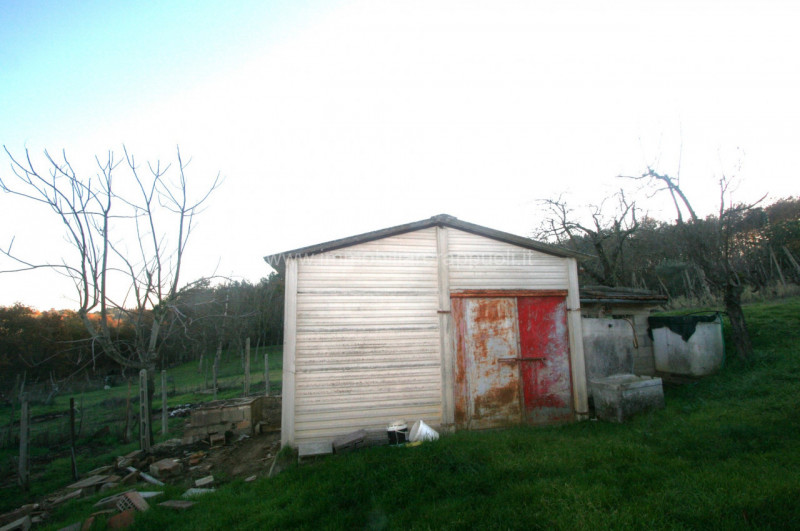 Rustico / casale in vendita a sinalunga - Rustico / casale in vendita a sinalunga