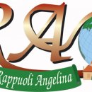 Appartamento bilocale in vendita a sinalunga