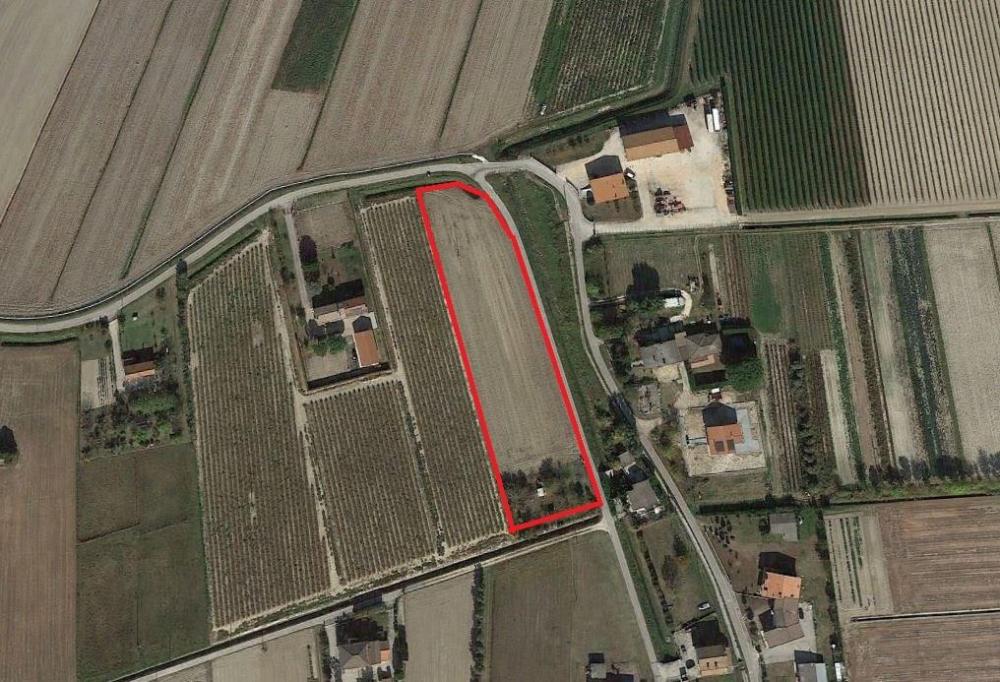 immagine annuncio 1 di 4