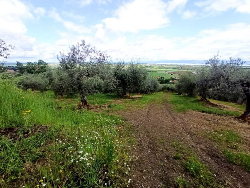 Terreno residenziale in vendita a panicale - Terreno residenziale in vendita a panicale