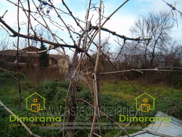 Terreno agricolo in vendita a quarto - Terreno agricolo in vendita a quarto