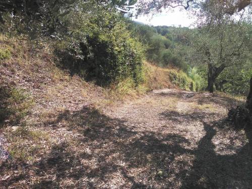 immagine annuncio 2 di 4