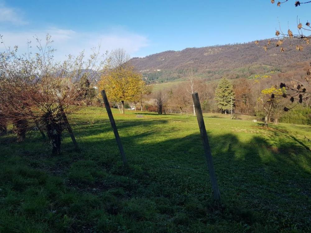 immagine annuncio 1 di 2