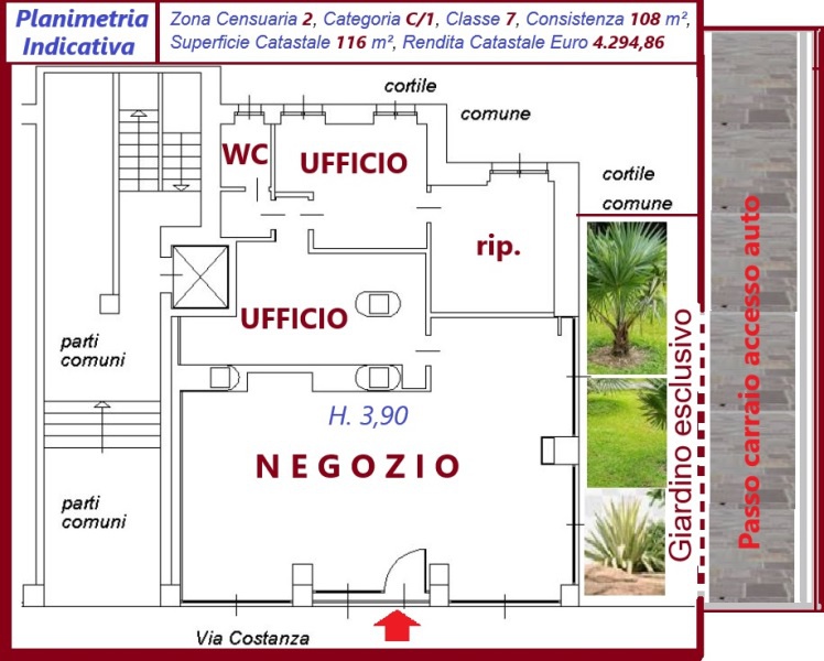 immagine annuncio 2 di 5