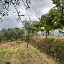 Terreno residenziale plurilocale in vendita a Trebiano