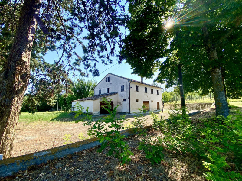 Rustico / casale quadrilocale in vendita a corinaldo - Rustico / casale quadrilocale in vendita a corinaldo