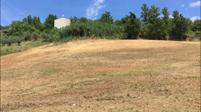 terreno residenziale in vendita a Santarcangelo di Romagna