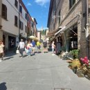 Azienda commerciale in affitto a santarcangelo-di-romagna