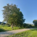 Terreno agricolo in vendita a Osoppo