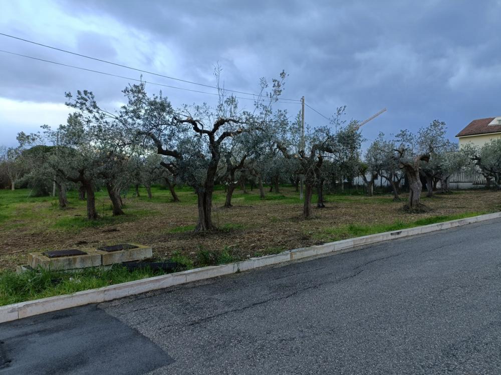 Terreno residenziale in vendita a vasto - Terreno residenziale in vendita a vasto