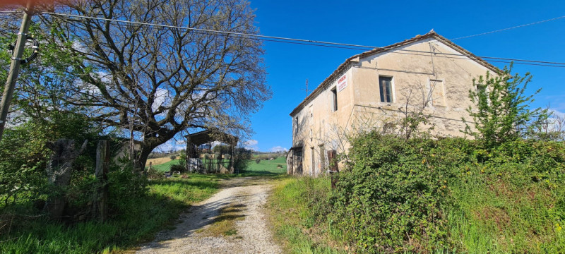 immagine annuncio 1 di 3