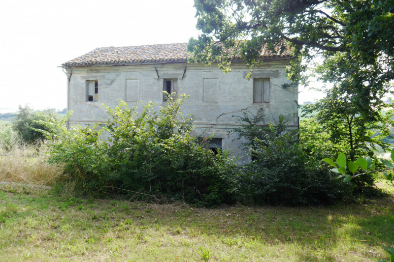 immagine annuncio 2 di 4