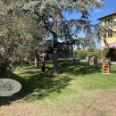 Casa plurilocale in vendita a Formigine