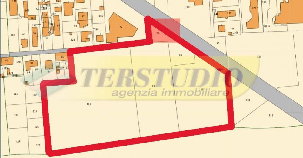 immagine annuncio 1 di 2