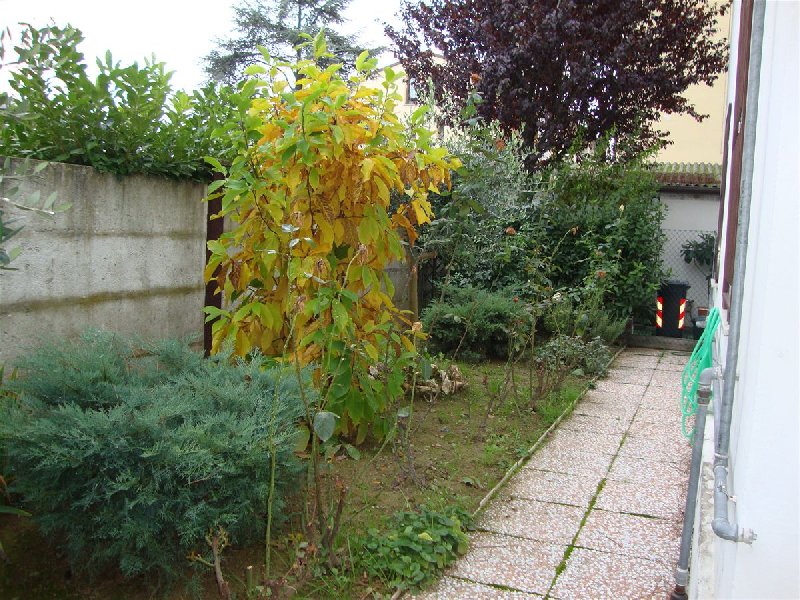immagine annuncio 1 di 4