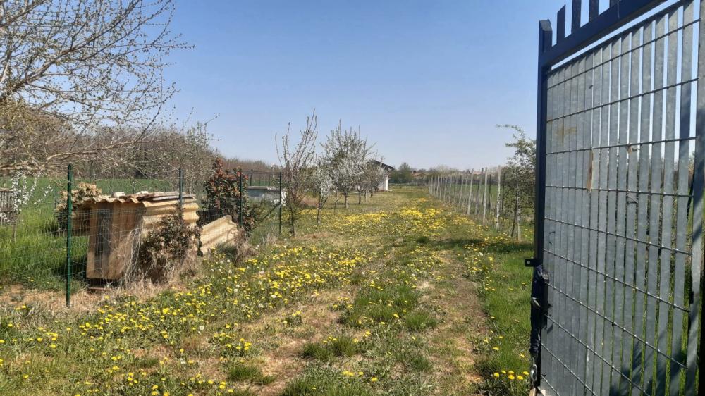 Terreno agricolo in vendita a piossasco - Terreno agricolo in vendita a piossasco