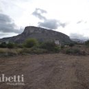 Terreno agricolo in vendita a bagheria