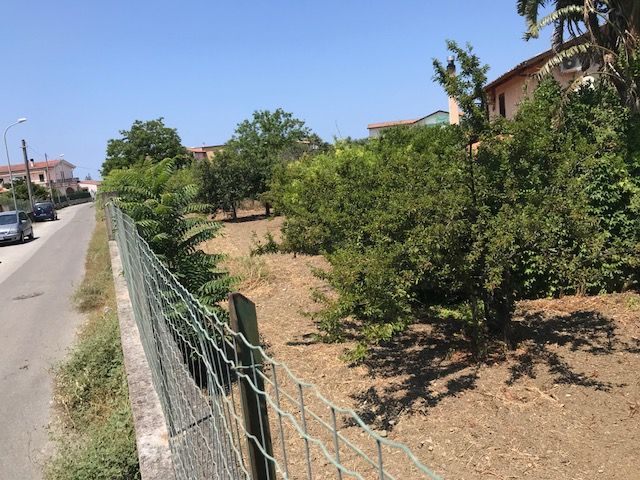 immagine annuncio 1 di 3