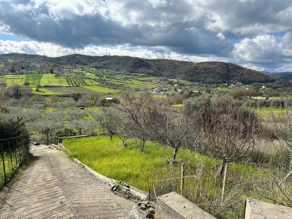 Terreno agricolo in vendita a basico - Terreno agricolo in vendita a basico